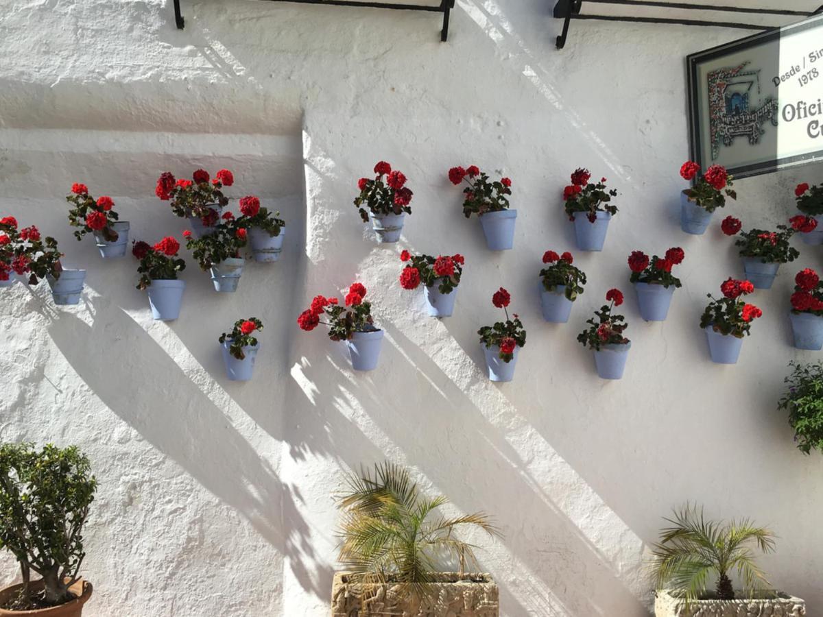 Erisa Ib Carihuela - Torremolinos Apartment Luaran gambar